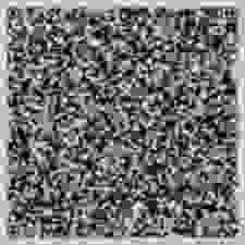 Shitified image