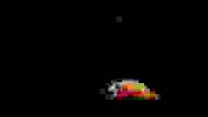 Shitified image