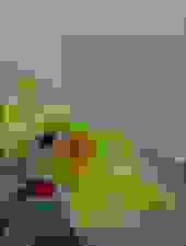 Shitified image