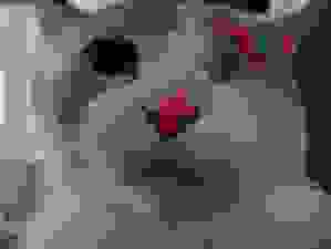 Shitified image