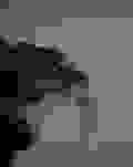 Shitified image