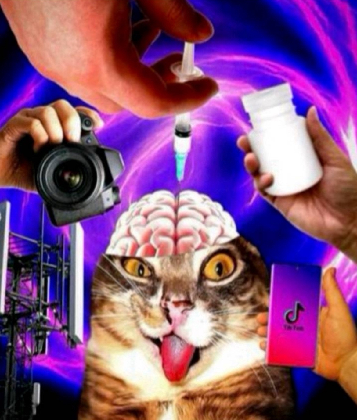 Shitified image