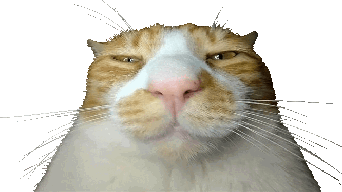Shitified image