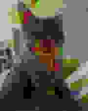 Shitified image