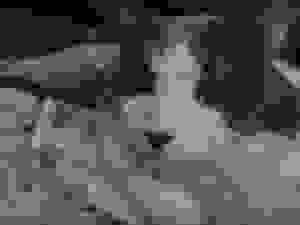 Shitified image