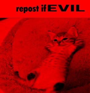 Shitified image