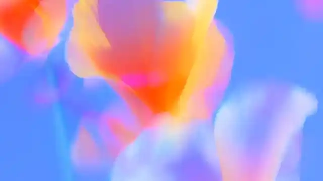 Shitified image