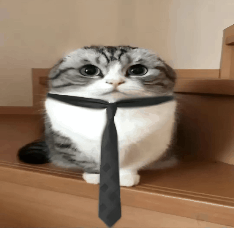 Shitified image