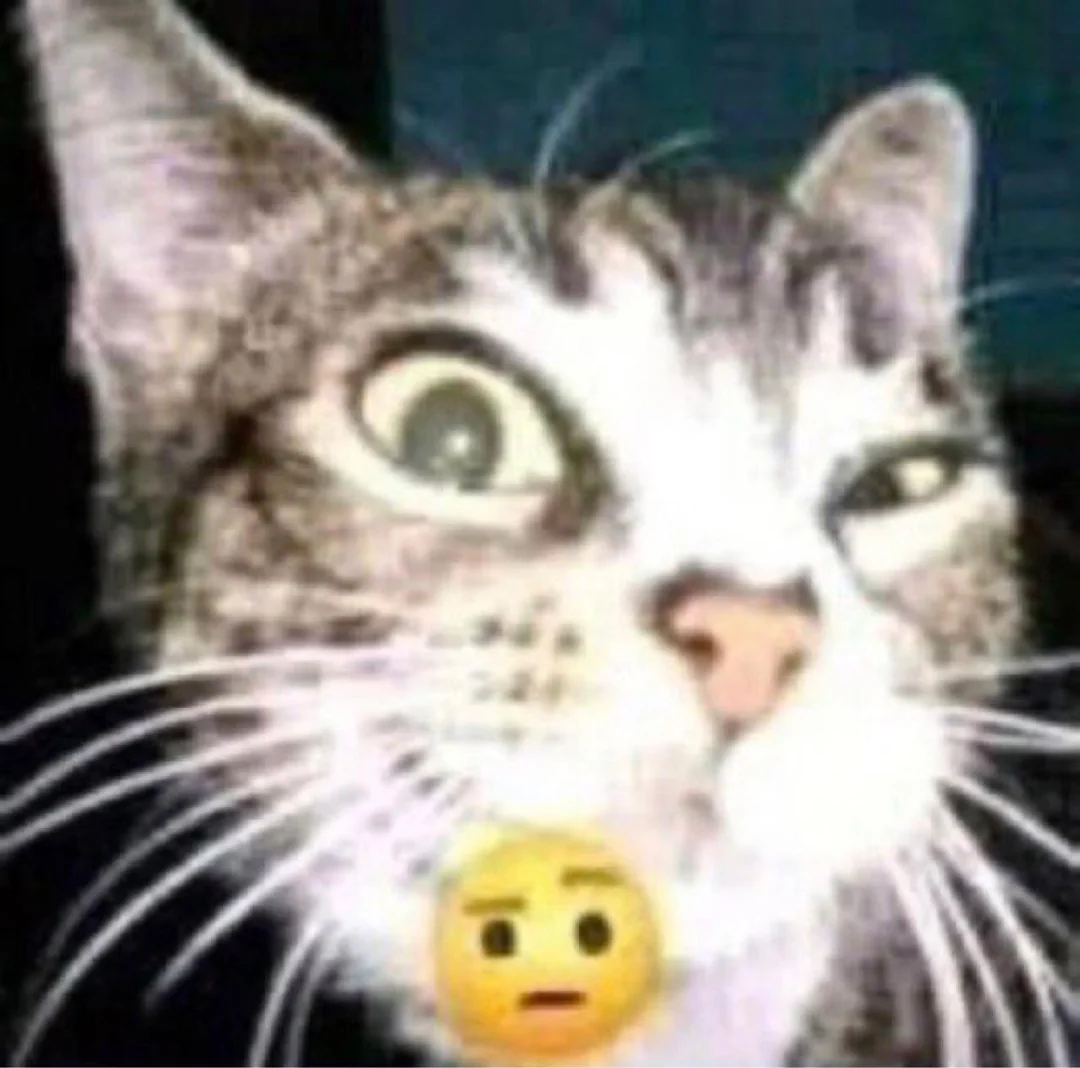 Shitified image
