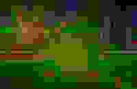 Shitified image