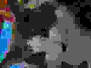 Shitified image