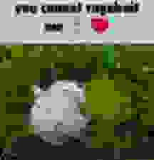 Shitified image