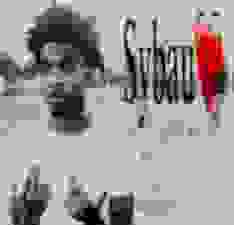 Shitified image