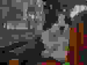 Shitified image