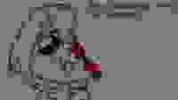 Shitified image