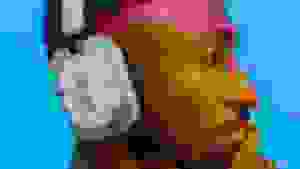 Shitified image