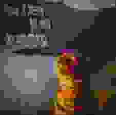 Shitified image