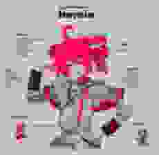 Shitified image