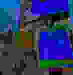 Shitified image
